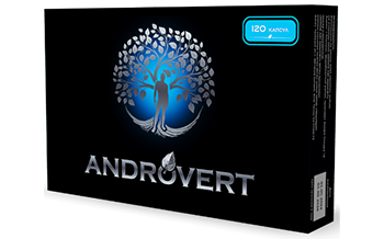 Androvert