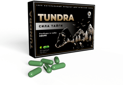 Tundra